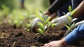 With two hands, the men planted seedlings in the ground. The problem of deforestation of the planet. Generative AI Royalty Free Stock Photo