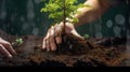With two hands, the men planted seedlings in the ground. The problem of deforestation of the planet. Generative AI Royalty Free Stock Photo