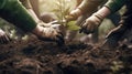 With two hands, the men planted seedlings in the ground. The problem of deforestation of the planet. Generative AI Royalty Free Stock Photo