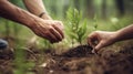 With two hands, the men planted seedlings in the ground. The problem of deforestation of the planet. Generative AI Royalty Free Stock Photo