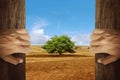 Two hands opening wooden door with tree on the changing environment Royalty Free Stock Photo