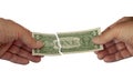 Two hands pull in a one dollar bill banknote so it breaks. Royalty Free Stock Photo