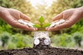 The two hands are putting money in a bottle with seedlings growing in a bottle on a natural green background. Royalty Free Stock Photo