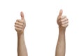 Two hands shoving thumbs up Royalty Free Stock Photo