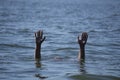 Two Hands stick out of water danger Royalty Free Stock Photo