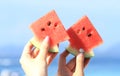 Two hands of teen girls both hold  a slice of watermelon Royalty Free Stock Photo