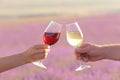 Two hands toasting wine glasses. Royalty Free Stock Photo