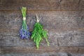 Bundles of fresh lavender flowers and rosemary herbs against a wooden wall. Royalty Free Stock Photo