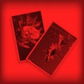 Two hanging photos in red light. Darkroom laboratory for photography