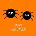 Two hanging spider insect family couple. Boy Girl. Happy Halloween card. Flat design