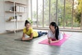 Two happy asian women in yoga poses in yoga studio with natural light setting scene / exercise concept / yoga practice / copy