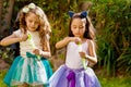 Two happy beautiful little girls playing with soap bubbles on a summer nature, one girl is wearing a blue ears tiger Royalty Free Stock Photo