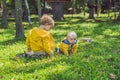 Two happy brothers in yellow sweatshirts in the autumn park