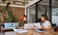 Two happy busy business women talking working in green cozy office at desk. Royalty Free Stock Photo