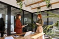 Two happy busy business women talking working in green cozy office. Royalty Free Stock Photo
