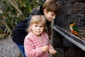 Two happy children, siblings feeding parrots in zoological garden. Toddler girl and kid boy playing and feed trusting Royalty Free Stock Photo