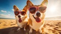 Two happy corgi dogs in sunglasses at the beach on vacation, generative ai