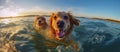 two happy dogs on the sea. Cute pet couple. Generative AI