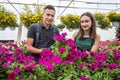 two happy gardeners in aprons work with flowers plants in the nature greenhouse garden Royalty Free Stock Photo