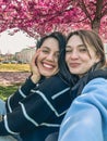 two happy girlfriends taking selfie under blooming sakura tree Royalty Free Stock Photo