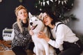 Two happy girls friends or sisters with husky dog in Christmas decorations Royalty Free Stock Photo