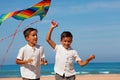 Two happy handsome little laughing boys with kite Royalty Free Stock Photo