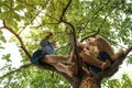 Two happy mischievous boys play together, climbing a tall tree in the forest. Joyful games for children in summer. Active childhoo