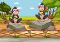 Two happy monkeys sitting on rocks Royalty Free Stock Photo