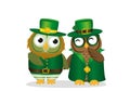 Two happy owls in national costume at Patrick`s Day holding hand