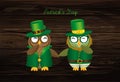 Two happy owls in national costume at Patrick`s Day holding hand