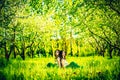 Two happy pretty girls sitting on the green grass