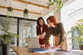 Two happy professional female partners working in office looking at laptop. Royalty Free Stock Photo