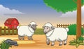 Two happy sheep in the farm with cartoon style