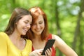 Two happy women checking smart phone in a forest Royalty Free Stock Photo