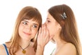 Two happy young girlfriends telling secrets Royalty Free Stock Photo