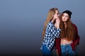 Two happy young girlfriends telling secrets. Girl Royalty Free Stock Photo