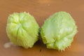 Two Harvested Christophines (cho cho) Royalty Free Stock Photo