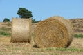 Two hay bales Royalty Free Stock Photo