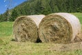 Two hay bales Royalty Free Stock Photo