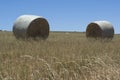 Two Hay Bales in a Field at Kings Beach, Fleurieu Peninsula, Sou Royalty Free Stock Photo