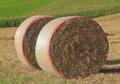 Two hay bales in the field Royalty Free Stock Photo