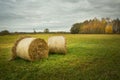 Two hay bales in the meadow and autumn trees Royalty Free Stock Photo