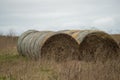 two hay bales sitting in the grass field, on a cloudy day Royalty Free Stock Photo