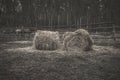 Two haystacks lie on the ground. Rural landscape. Royalty Free Stock Photo