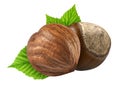 Two hazelnut isolated closeup in shell and without shell with leaf as package design elements. filbert white background. Nut macro Royalty Free Stock Photo