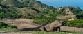 Two-headed dragon. Komodo dragon ( Varanus komodoensis ) in natural habitat. Biggest living lizard in the world. island Rinca.