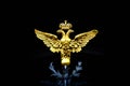 Two-headed eagle. Royalty Free Stock Photo