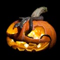 The two headed Japanese rat snake on black with Haloween pumpkin Royalty Free Stock Photo