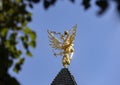 Two-headed Russian eagle as symbol of statehood against blue sky