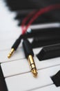 Two headphone jacks Royalty Free Stock Photo